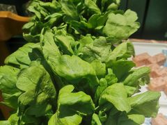 -十六蒲(桂林路店)