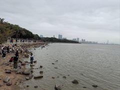 -深圳湾公园(南山区)