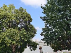 -唐城墙遗址公园