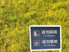 -南京眼步行桥