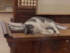 -五观堂素食(新华路店)