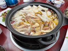 -蘑统田下·野生菌火锅