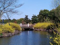 -上海滨江森林公园