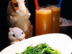 清炒时蔬-凤凰湘语·湘粤和鸣(浦东旗舰店)