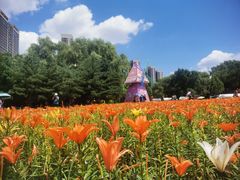 -长白岛森林公园