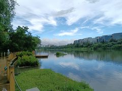 -华侨城湿地公园