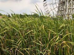 -苏州吴中太湖旅游区