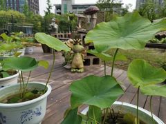 -杭州滨江欧文幼儿园