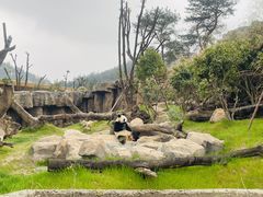 -宁波野生动物园