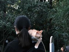 -成都市活水公园