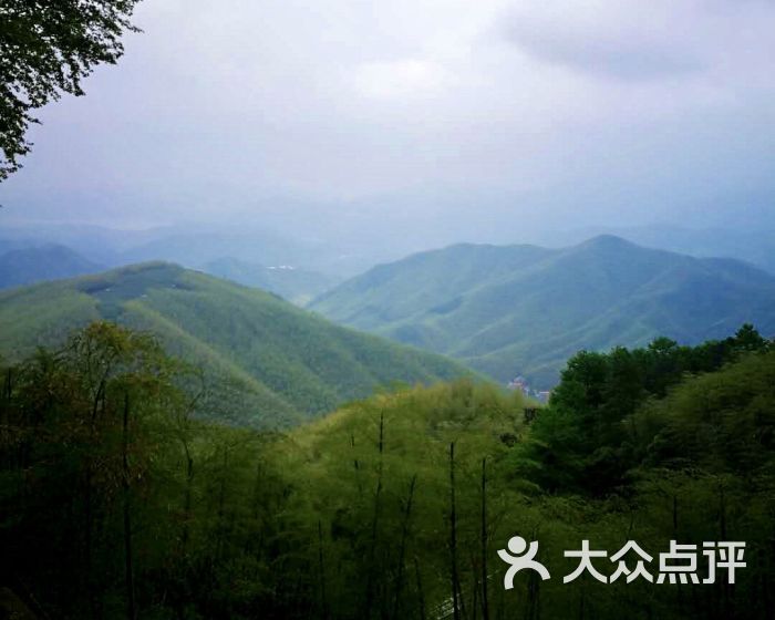 莫干山風景區-圖片-莫干山周邊遊-大眾點評網