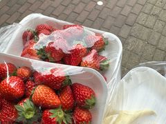 -花园菜市场