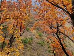 -北京西山国家森林公园