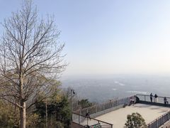 -紫金山山顶公园