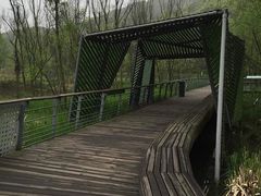 -西湖风景区-江洋畈生态公园