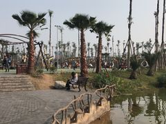 -枫香湖儿童公园