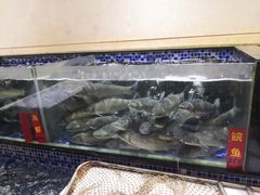 -龙悦湾酒家·八阵鱼生·渔人码头店