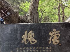 -千佛山风景名胜区