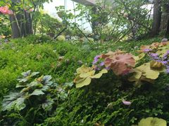 -锦江宾馆-锦悦西餐厅
