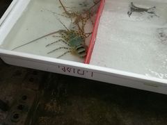 -拉威海鲜市场