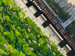 -黄兴公园