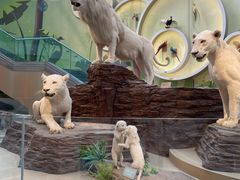 -陕西自然博物馆