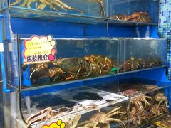 -蚝专家(北滘店)