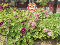 -大钟寺古钟博物馆
