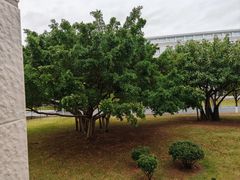 -厦门国家会计学院