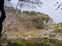 -北京西山国家森林公园