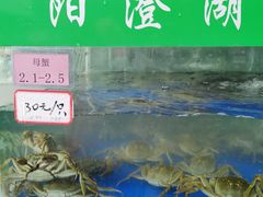 -阳澄湖大闸蟹·琼灵阁牌品牌连锁(吴中总店)