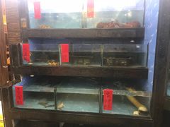 -肥仔顺德菜(龙悦居店)