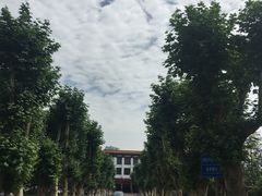 -四川大学(望江校区)