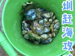 -坝光海滩