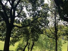 -银涛高尔夫练习场(徐泾店)