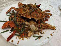 -凤城礼记鱼翅海鲜酒家(新马路总店)