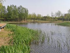 -东郊湿地公园