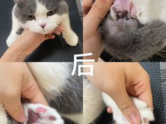 -听TA说宠咖·宠物生活馆(天韵水岸店)