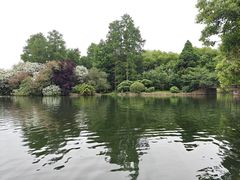 -上海共青森林公园