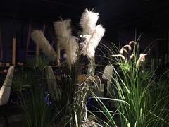 -别院里音乐餐酒吧(双流航空港店)