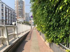 -演武大桥观景平台