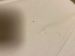 -锦江之星(西安大雁塔小寨地铁站店)