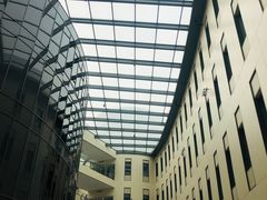 -首都医科大学附属北京天坛医院