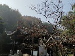 -团城山公园
