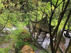 -祁门牯牛降观音堂风景区
