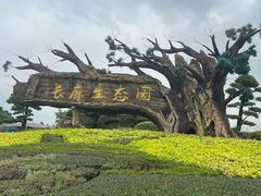 -长廊欢乐园
