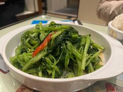-吴系粤菜馆·茶餐厅(深业上城店)