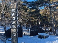 -北京西山国家森林公园