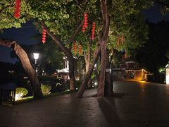 -荔湾湖公园