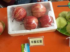 -普迪生态园
